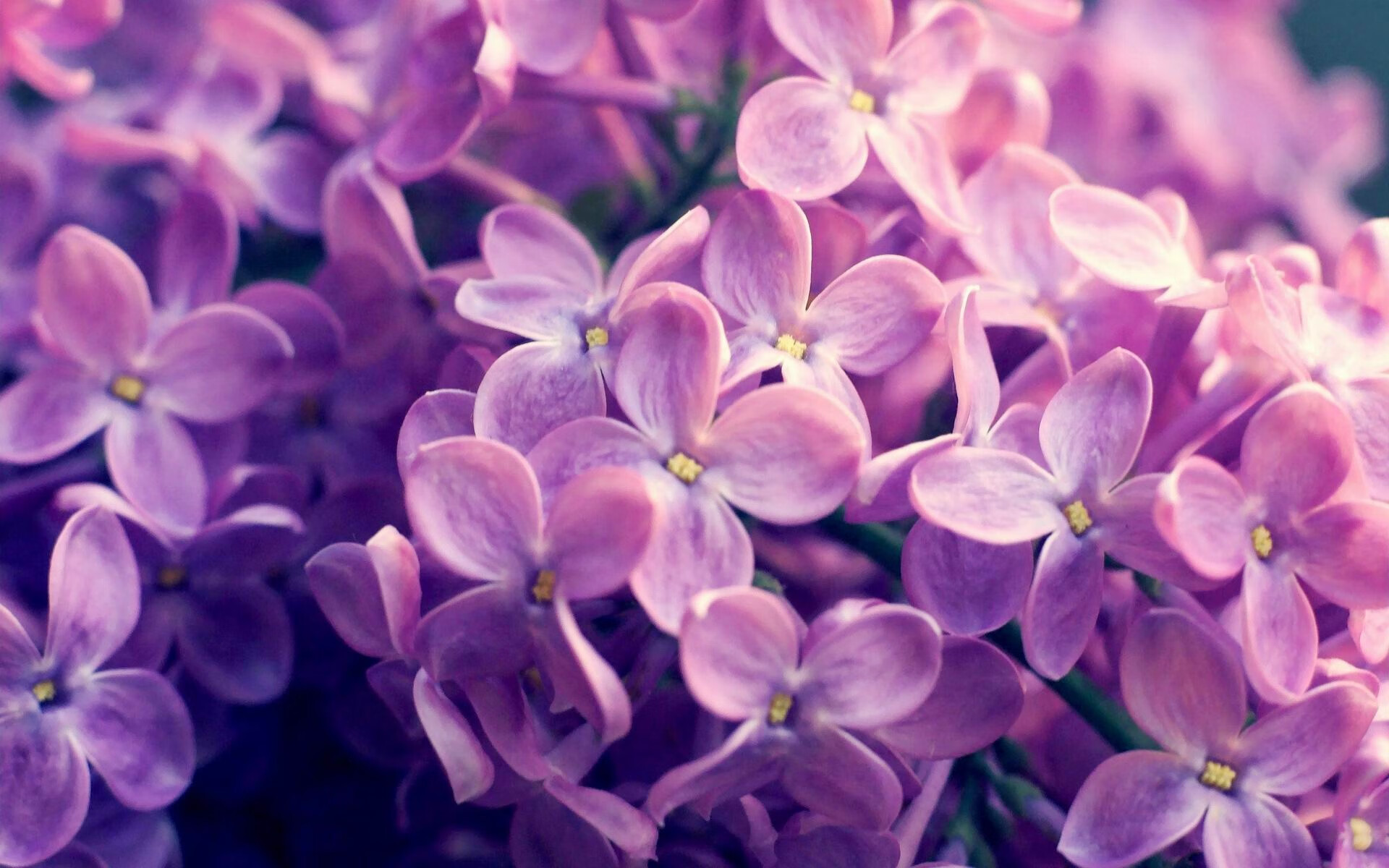 冬奥足球新项目,瑞士展现全方位适应力,瑞士冬季奥运会