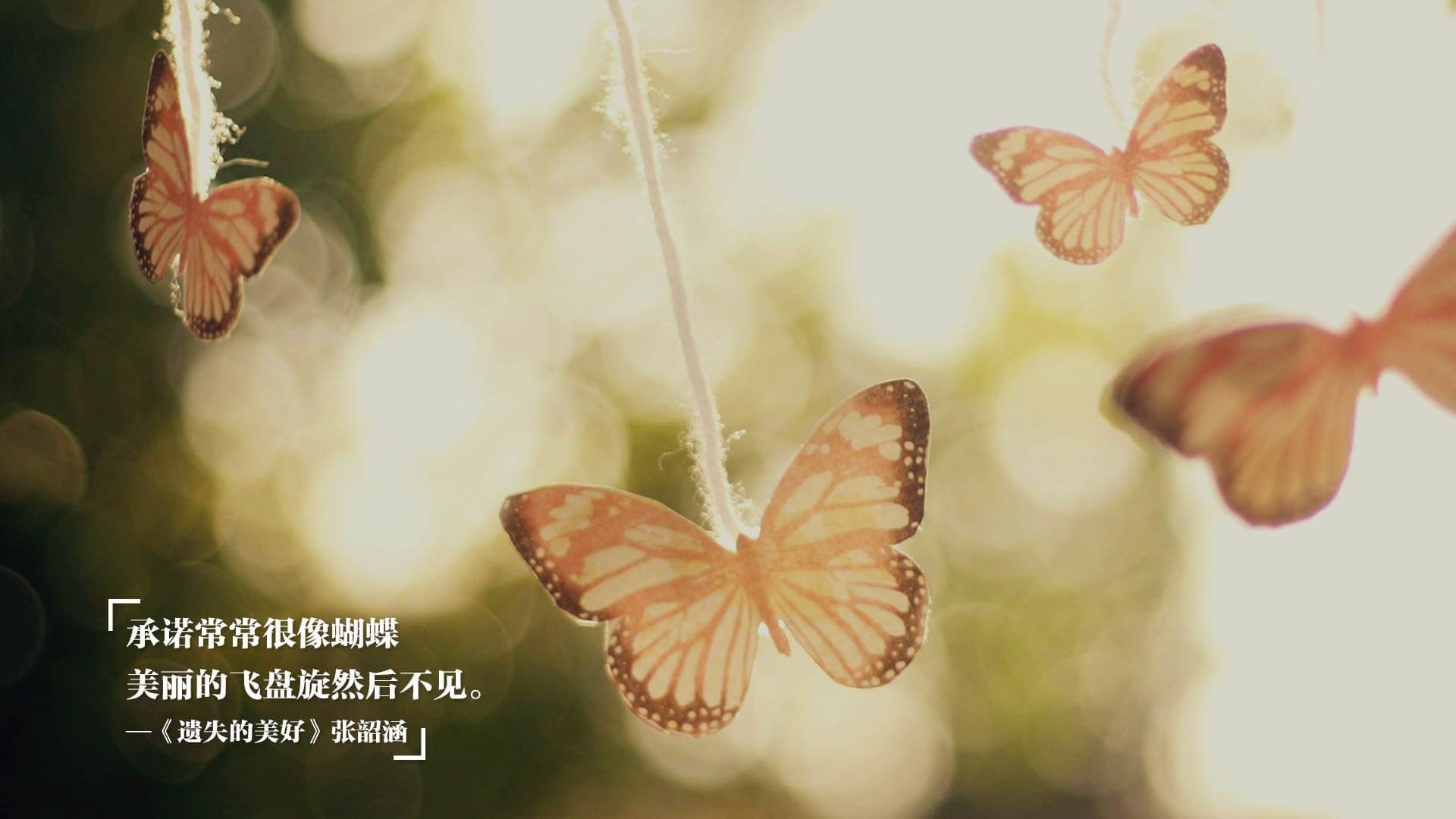 森林狼启动“国际球员节”，展示多元文化融合，森林狼球队人员名单