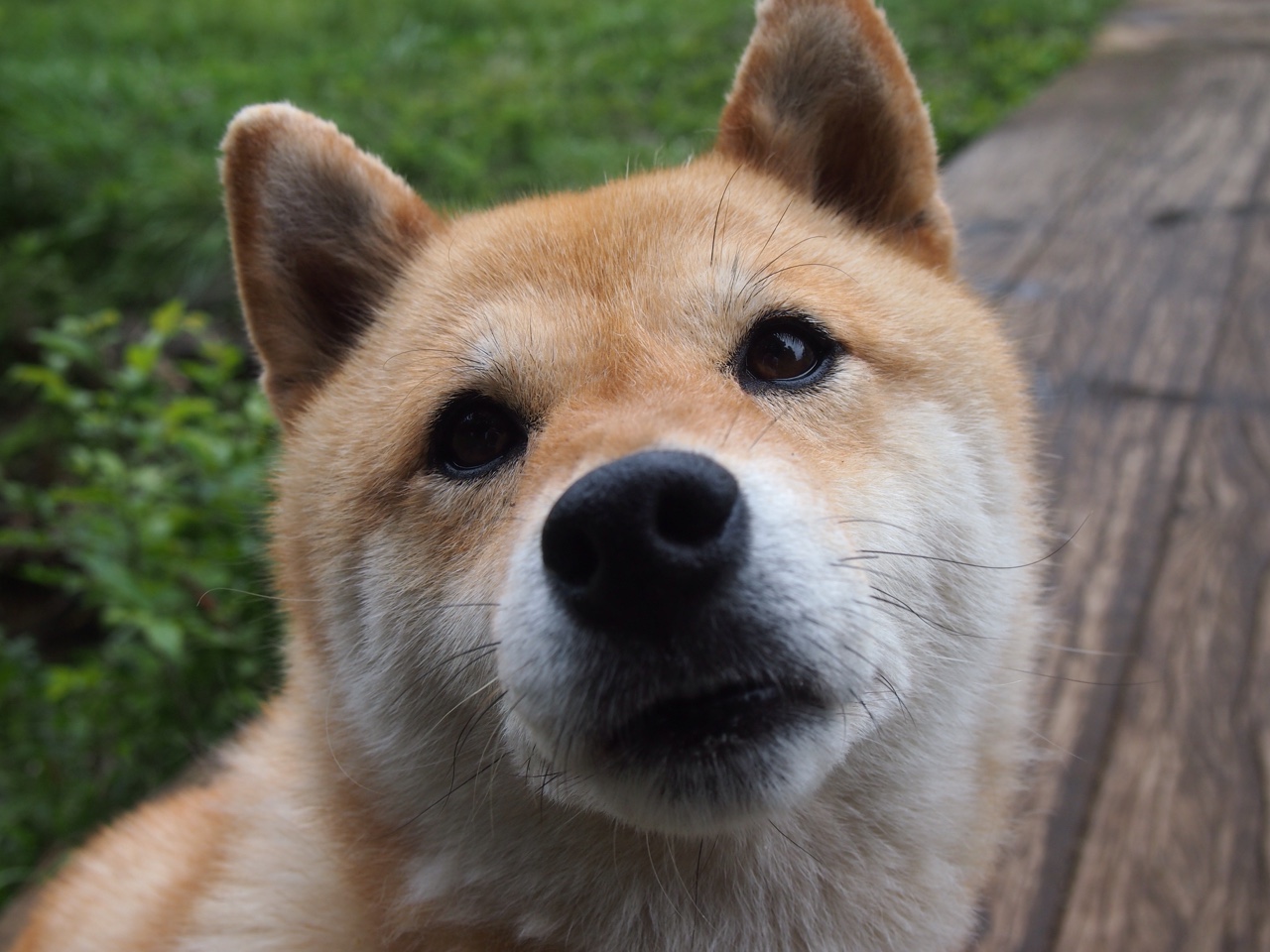 球员的欧冠第一课:学习那些永恒的训练秘诀,欧冠训练用球