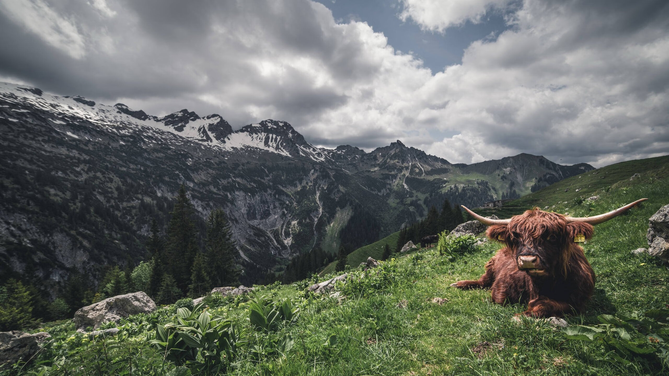 KAIYUNAPP-篮球训练营创新课程引导技术突破，篮球训练营创业计划书范文