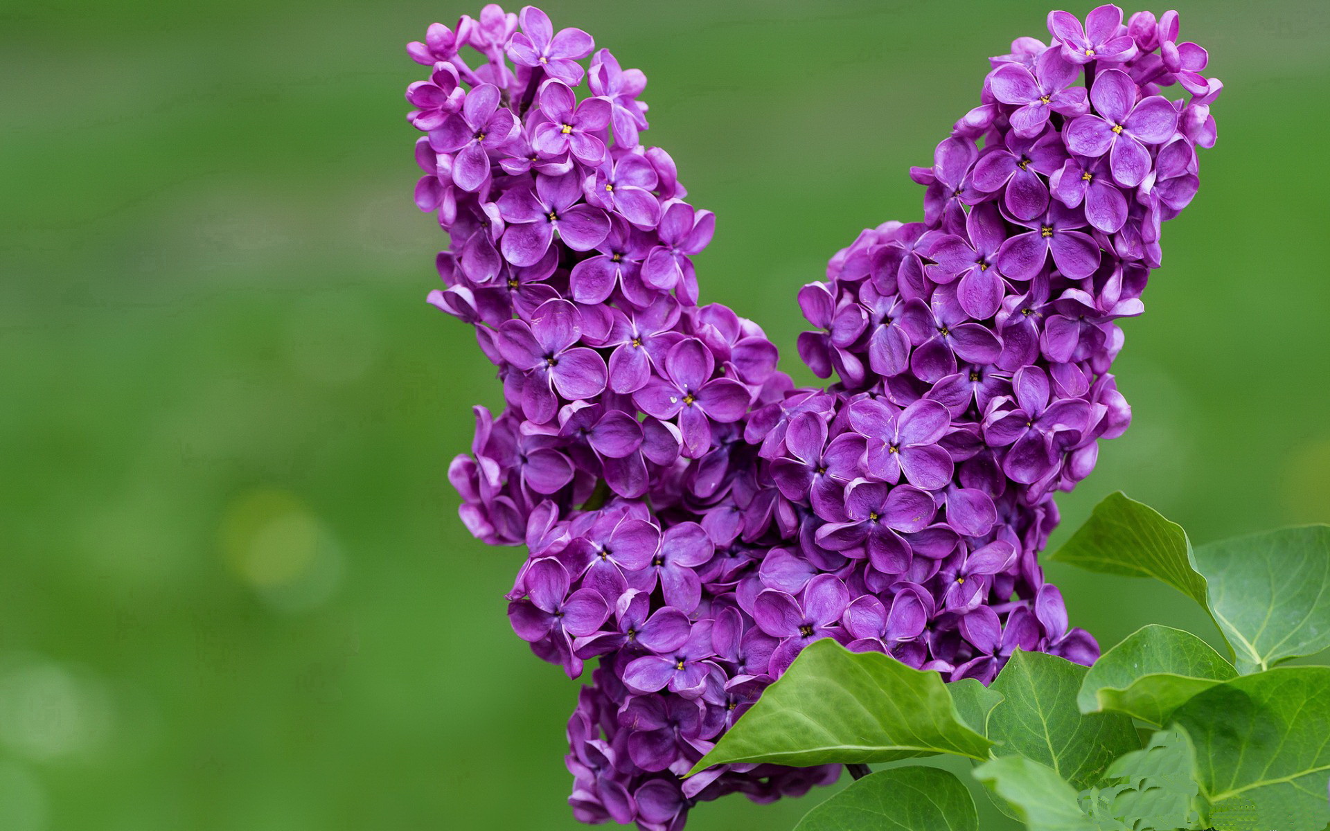 英超少见大逆转:曼城2-3败给沃特福德,节节败退?,曼城英超首战迎利好