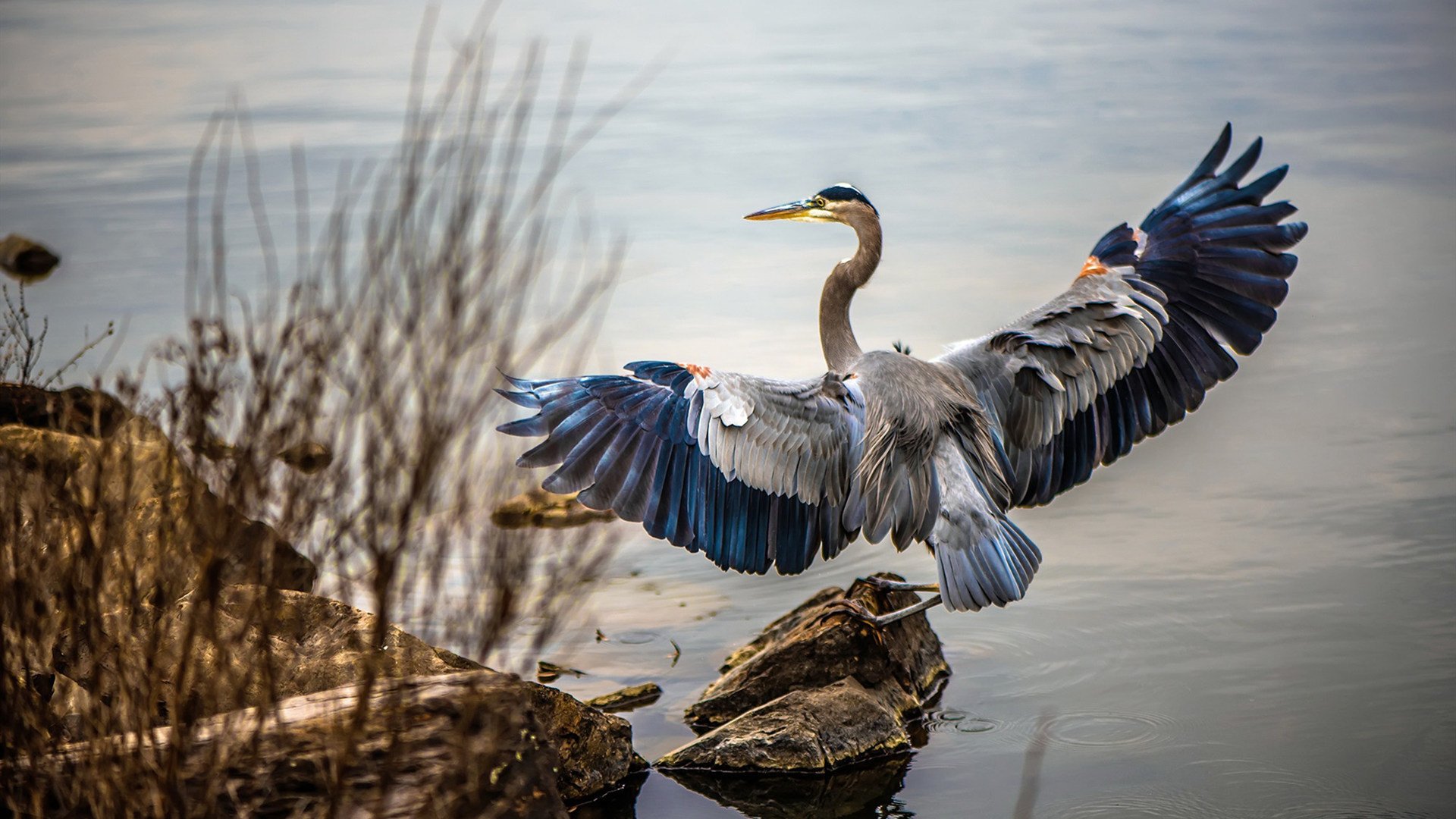 开云网页版登录入口-西甲新赛季引进多名新星，未来可期，西甲开始新赛季