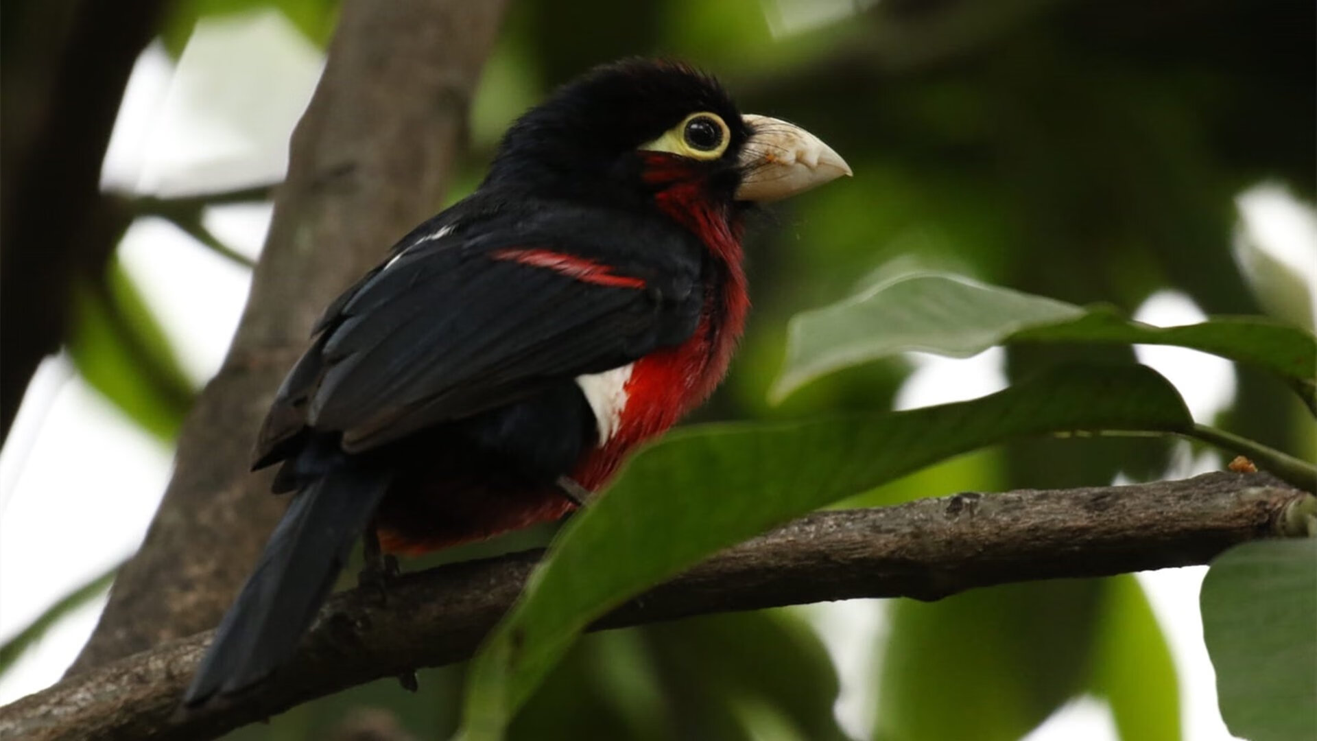 开云kaiyun-足球场新建项目逐步推进，硬件设施提升，足球场建设方案