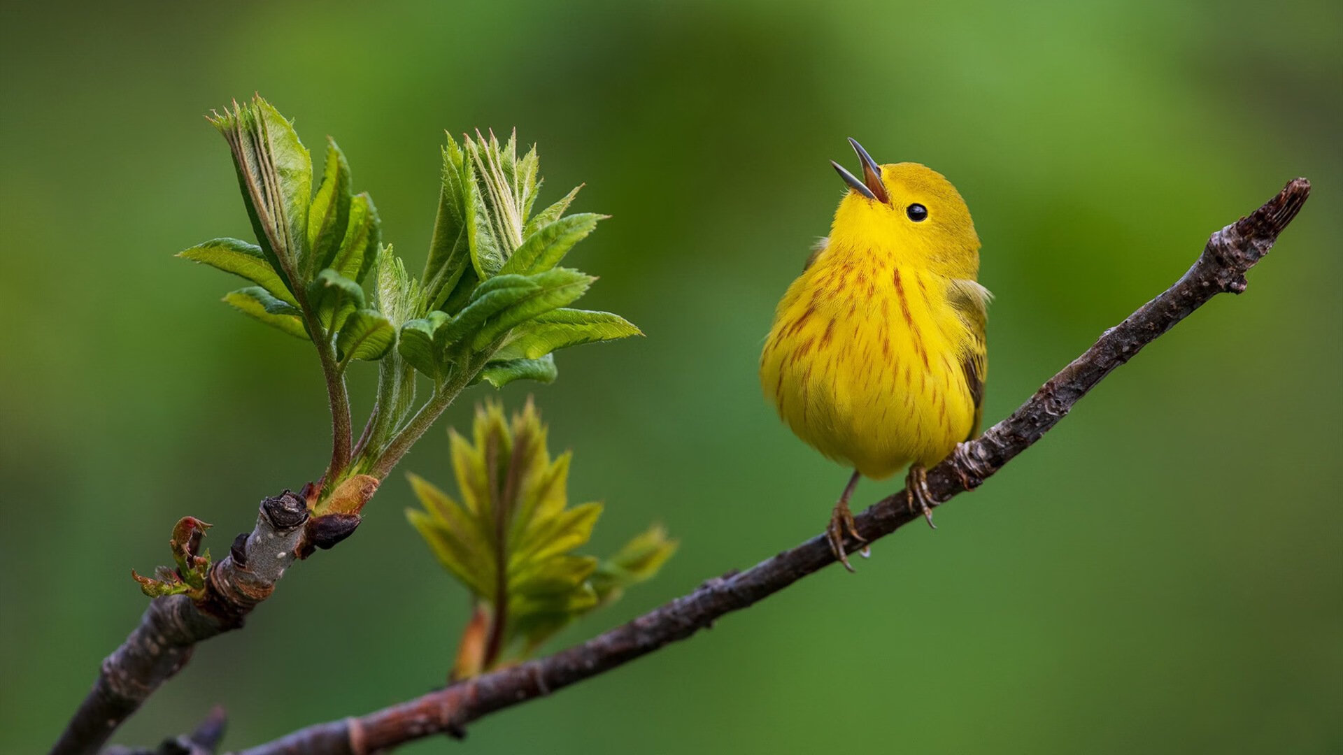 开云官网APP下载-青少年篮球运动会“全民参与”高潮迭起，普及率不断提升，青少年篮球赛事