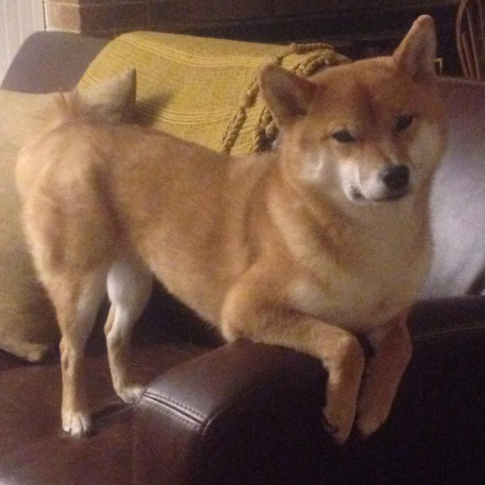 开云入口-巴特勒关键抢断热火击败黄蜂，巴特勒在热火