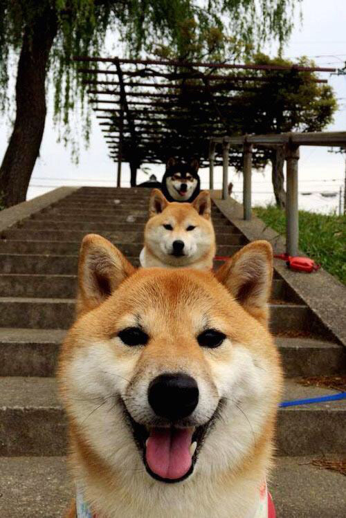 意外拳击选手无缘决赛,拳击意外死亡