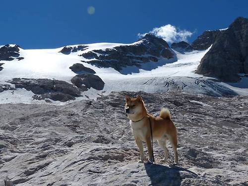 成都兴城客场-击败青岛黄海,开门红,成都兴城球队大巴