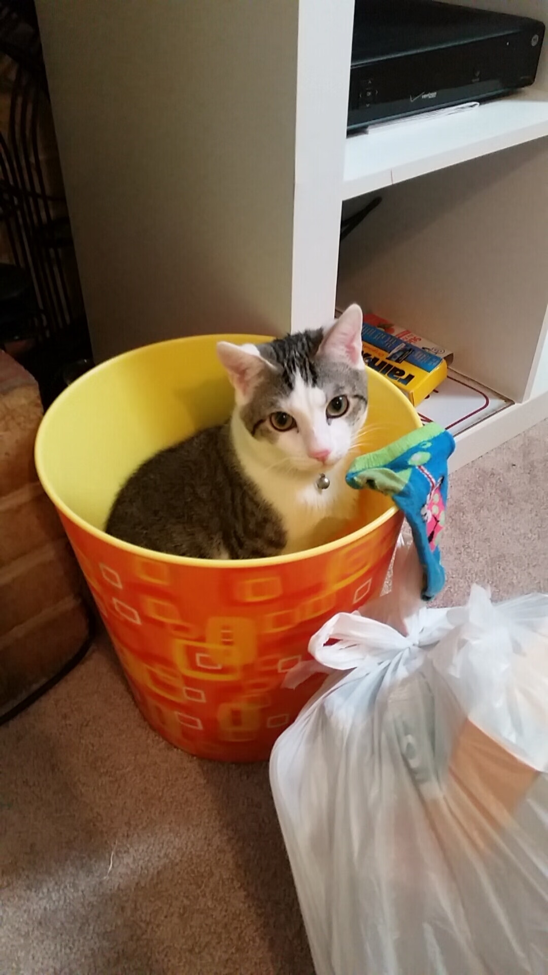 开云kaiyun-是否应为球员家属提供心理辅导资源，是否应为球员家属提供心理辅导资源呢