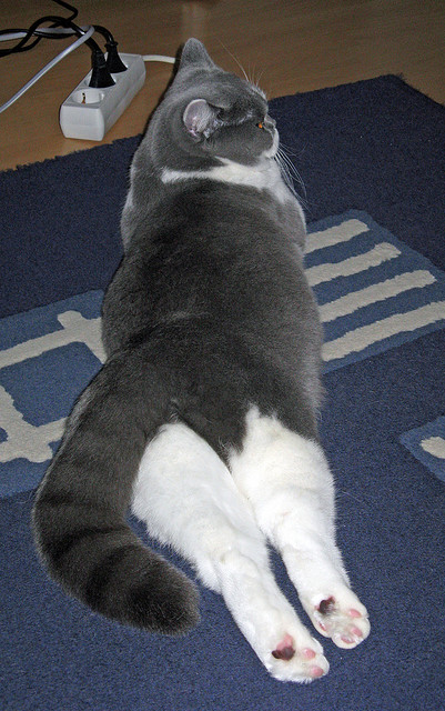 曼城主场被热刺逆转,遭遇两连败,曼城0-1热刺