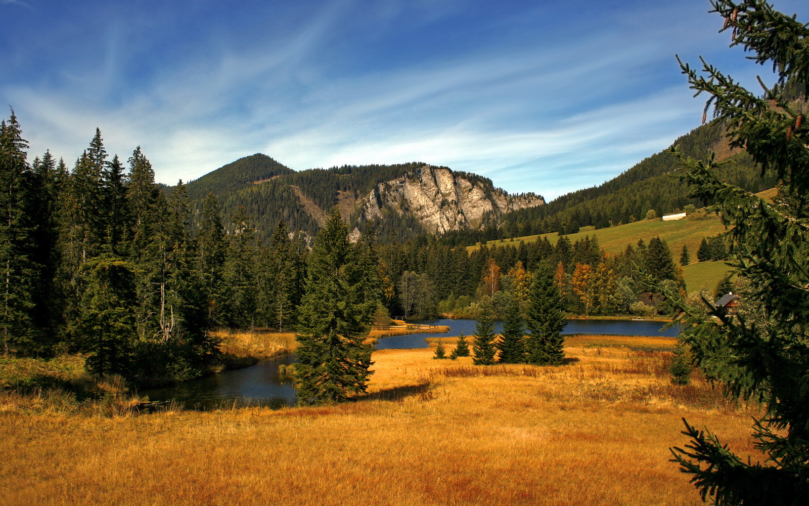 波兰迎来挑战:斯洛文尼亚行将交手,波兰vs斯洛文尼亚哪个厉害