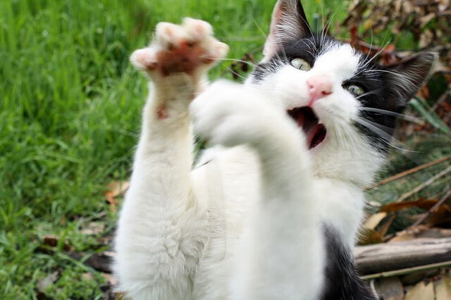 kaiyun官方入口登录-热火爵士精彩对决，场上实力对决点燃球场，热火 爵士