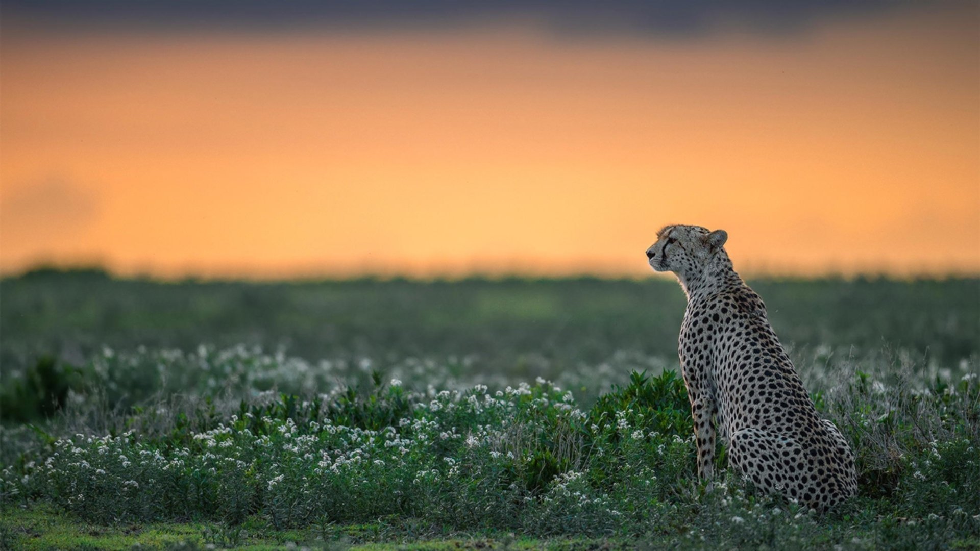 Kaiyun(中国)开云-电竞职业选手营养补给科学指导与效果验证，电竞营养师是干嘛的