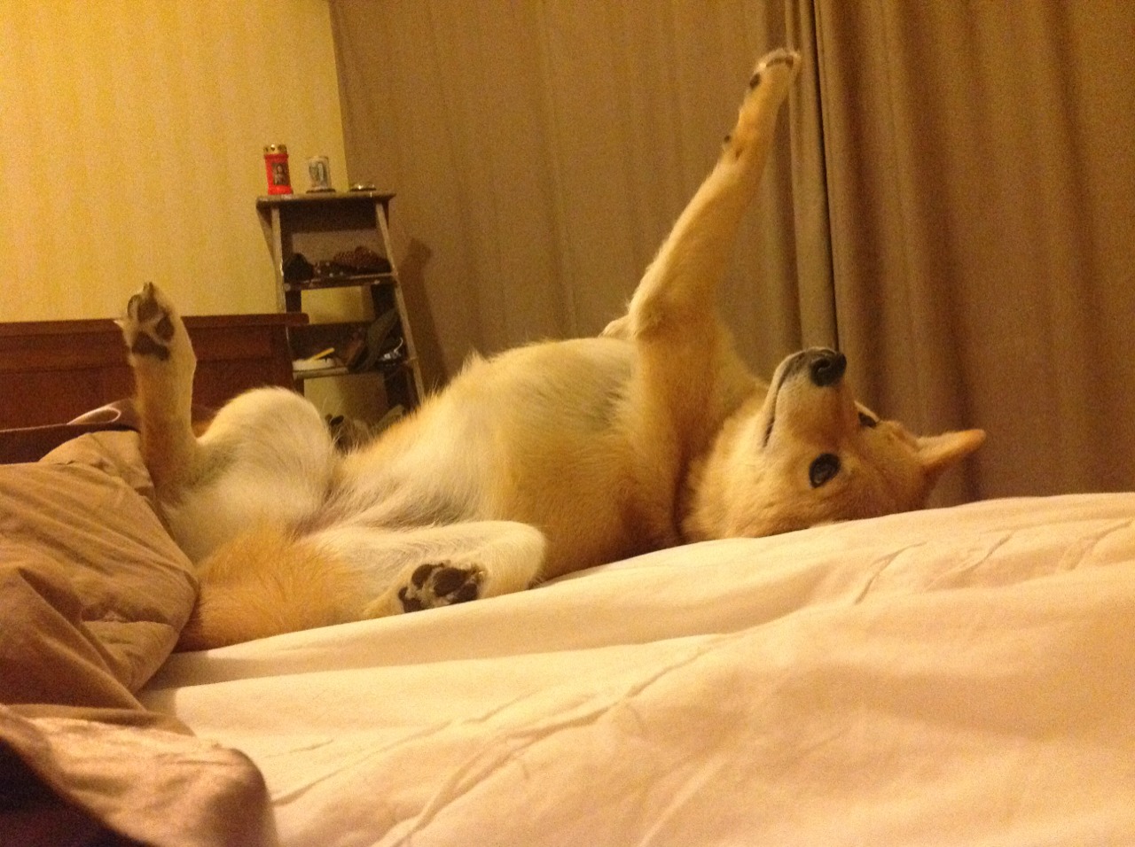 kaiyun开云·官方网站-福建韩金龙揭秘球队备战秘籍，积极备战，韩金龙新闻