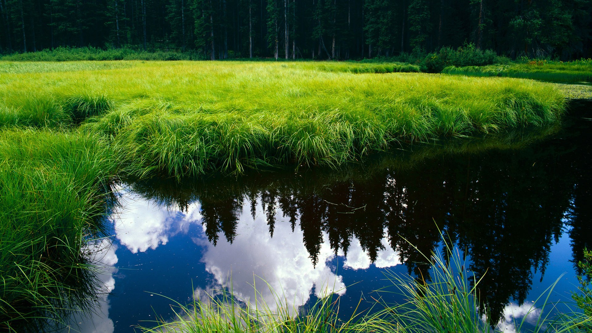 阿森纳奋力冲顶,夺冠希望不容忽视,阿森纳经典比赛
