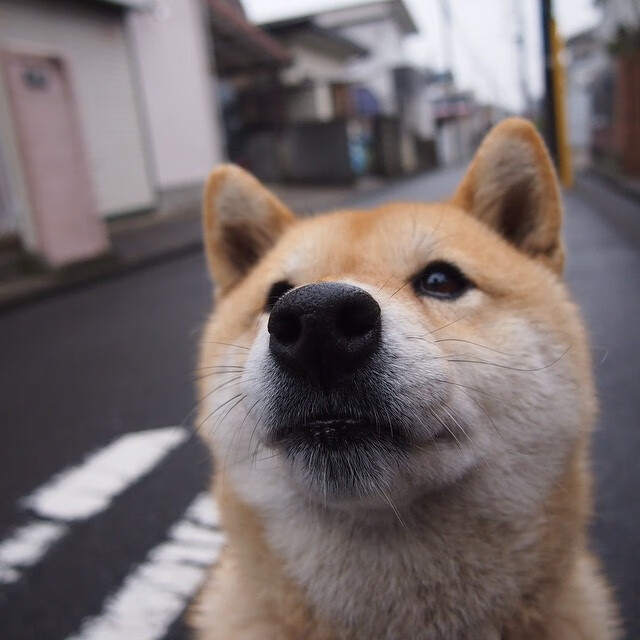 首尔SK骑士关键时刻表现冷静,首尔sk骑士直播