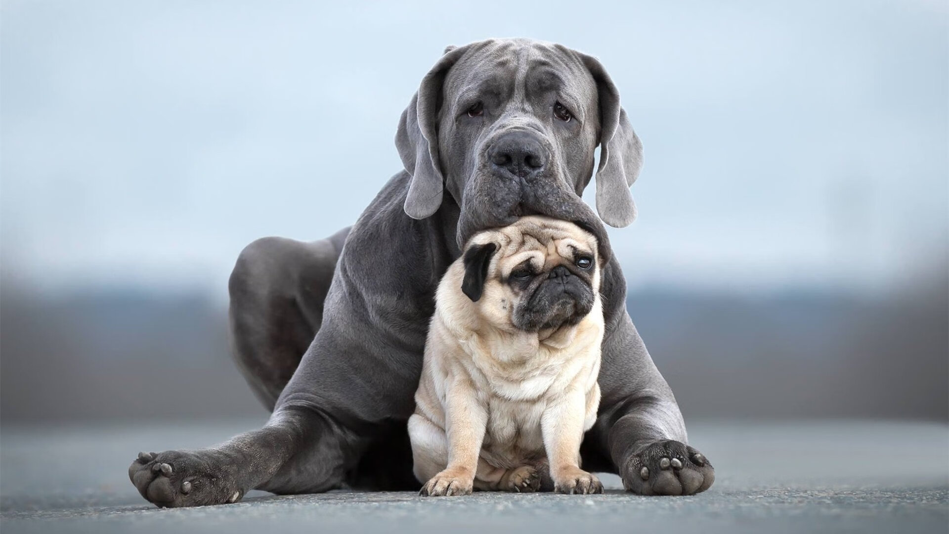 中国篮球运动员竞技心理调节策略,篮球运动中需要的心理技能