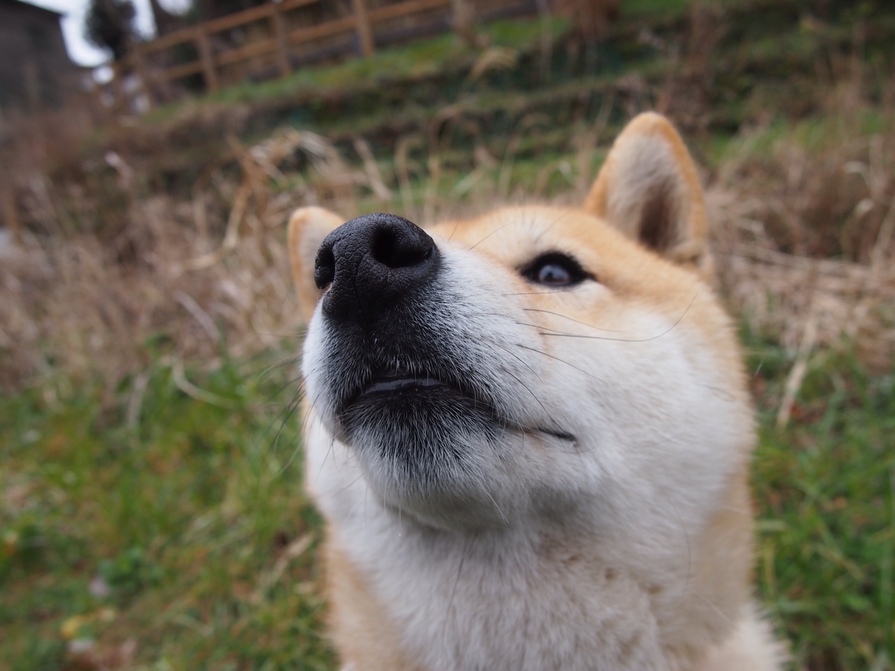 中小学体育教师教学创新策略,中小学体育改革创新优秀案例