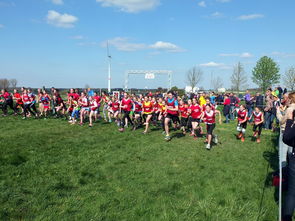 开云官网-青少年体育社交平台互动行为研究，青少年体育文化