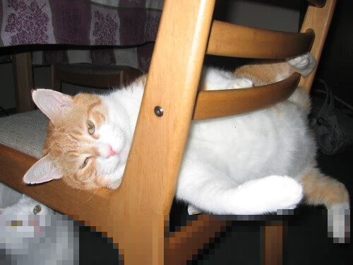 开云体育APP下载-广东队在关键时刻打出一波流掌控比赛，广东队打法