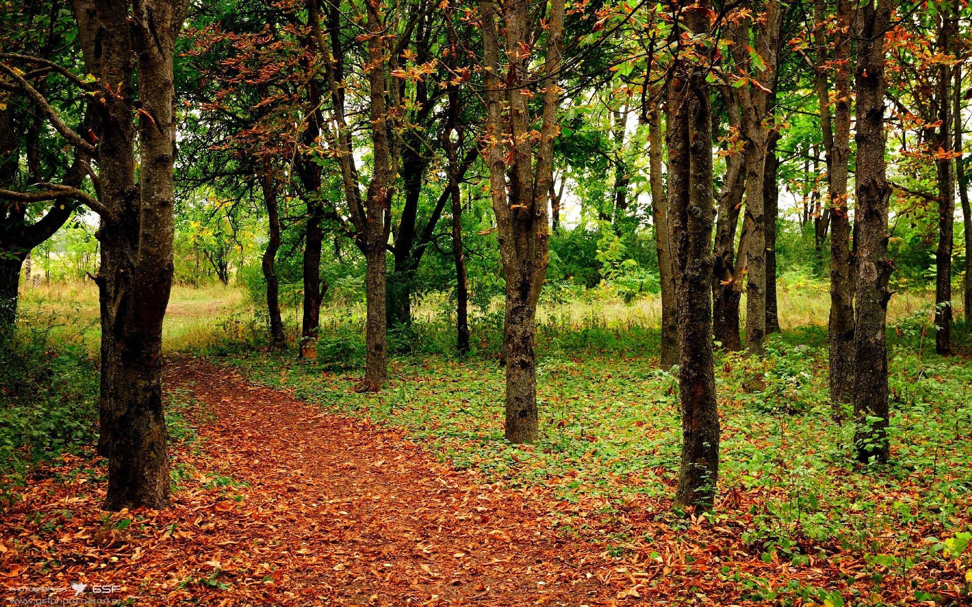 新月考虑重组外援阵容,利雅德新月外援阵容名单