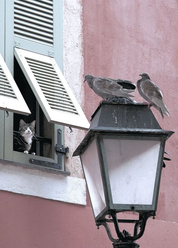 kaiyun官方网站-自由泳德国四人组进步显著，自由泳400米冠军