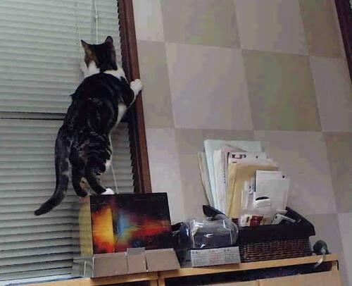 足球训练课程与运动医学结合薄弱,足球教学课与足球训练课的差异