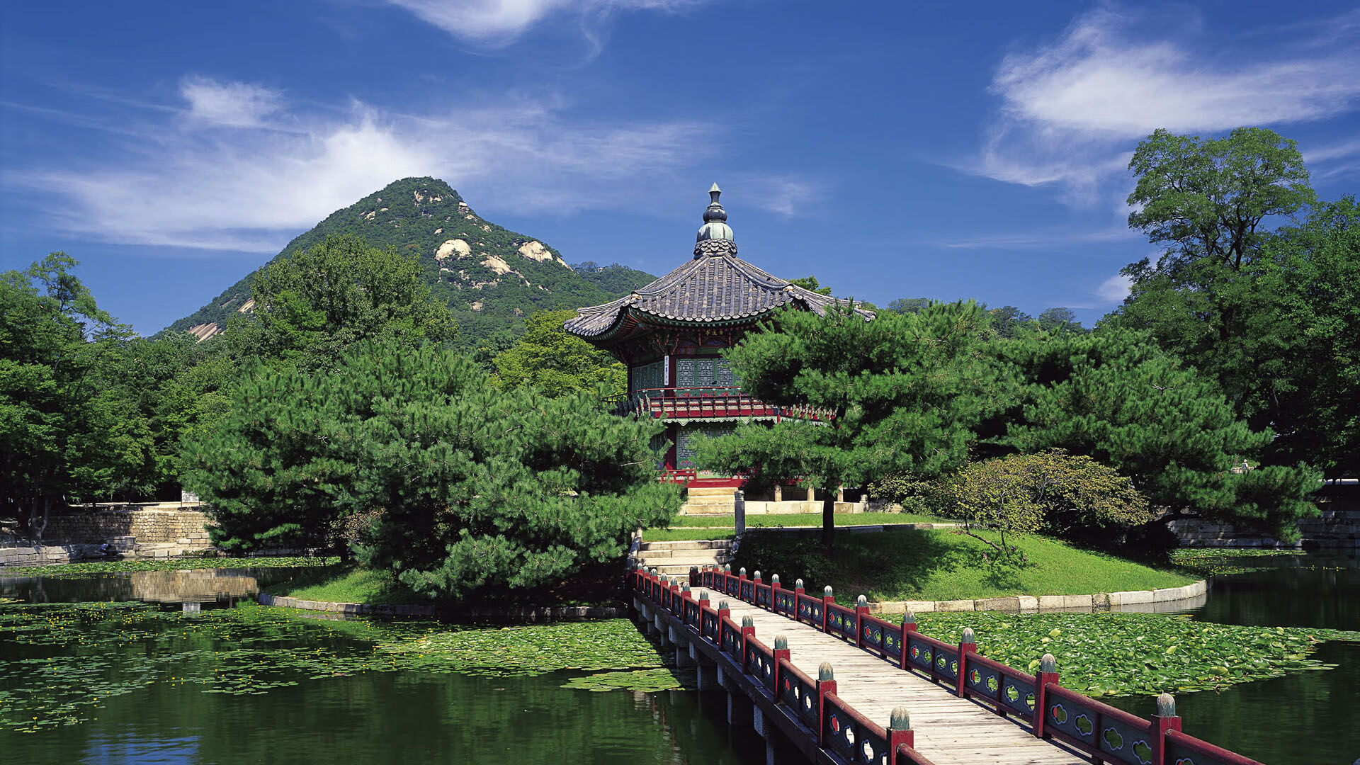 中国足球青少年足球文化建设迈上新台阶,【特写】中国青少年足球_大浪潮与小现实