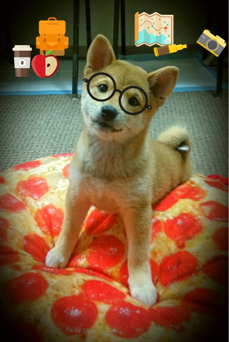 Kaiyun APP-利物浦欧冠逐步逼近最佳状态，目标冠军