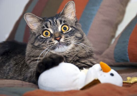 开云中国-德甲传奇对决：瞬间突破令人惊叹，德甲传奇后卫