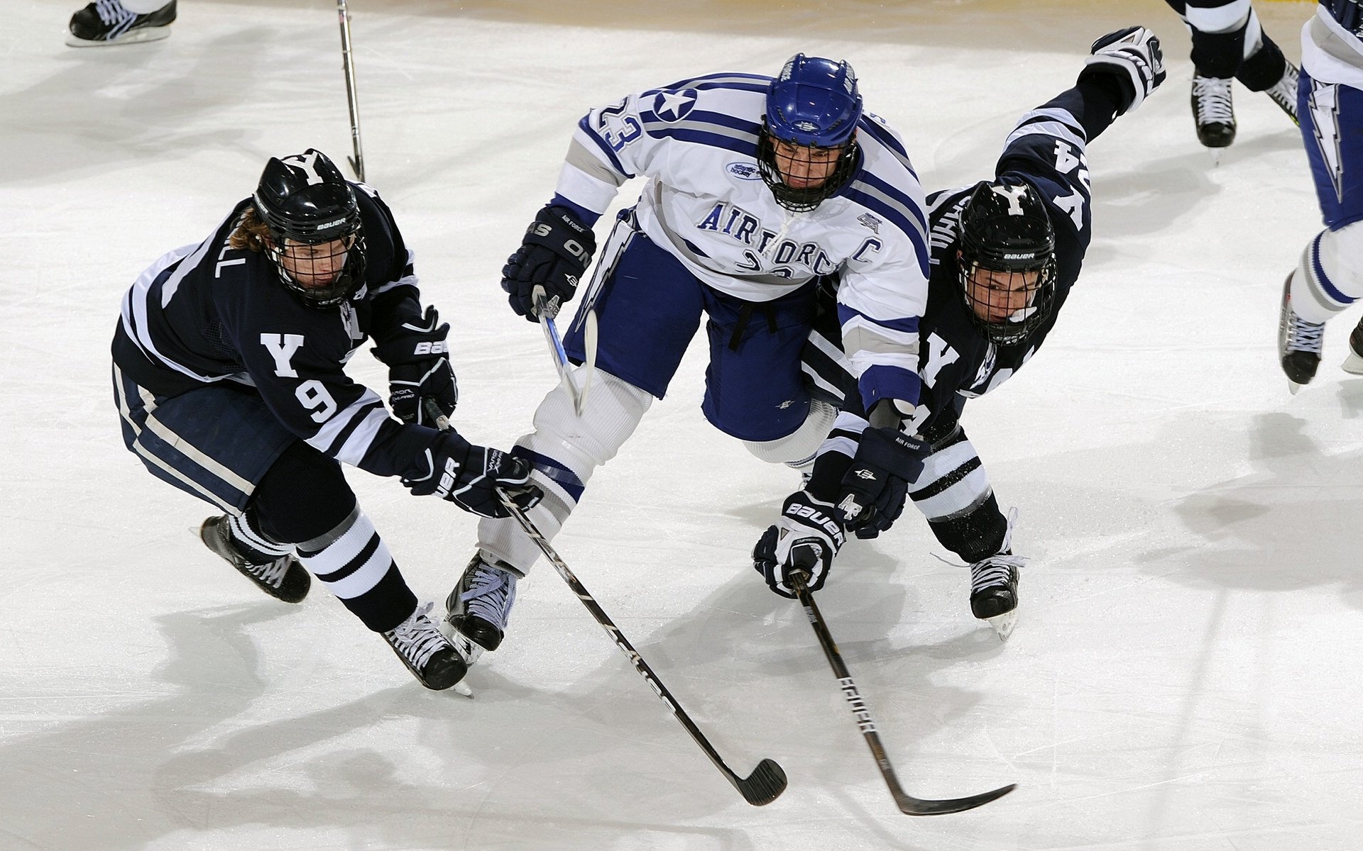 体育新闻中心参与冬季运动项目数字化改造计划,冬季体能训练新闻稿